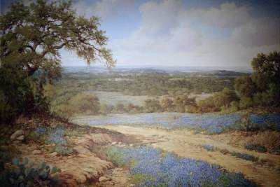 TEXAS-BLUE BONNETS.JPG
